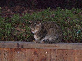 dscf1351.JPG