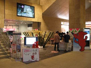 img_0355.JPG