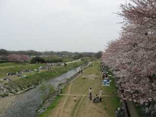 水と緑の回遊空間　柳瀬川回廊