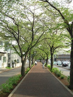 花と緑の散歩道