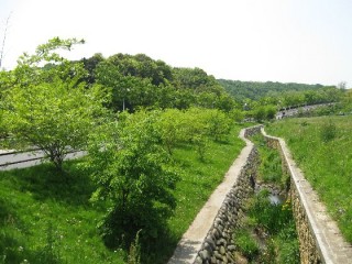 砂川掘　水源