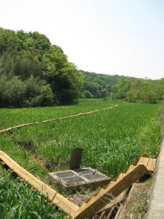 砂川掘　源流