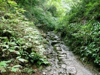 高尾山 薬王院 有喜寺 6号路