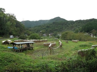 越生　越辺川　おごせ　おっぺがわ