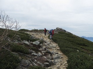 金峰山　森林限界