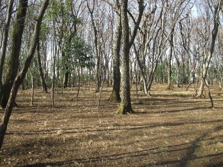 三富地域の環境保全型農業