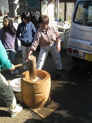 東所沢　城　陽子ファーム