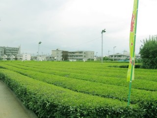 所沢駅徒歩10分