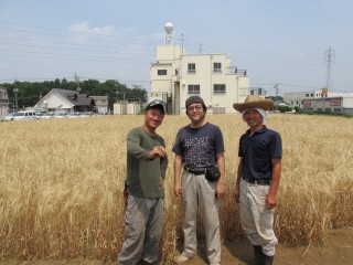 所沢 地ビール 野老ゴールデン 株式会社ベルビア