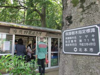 加藤農園の直売所